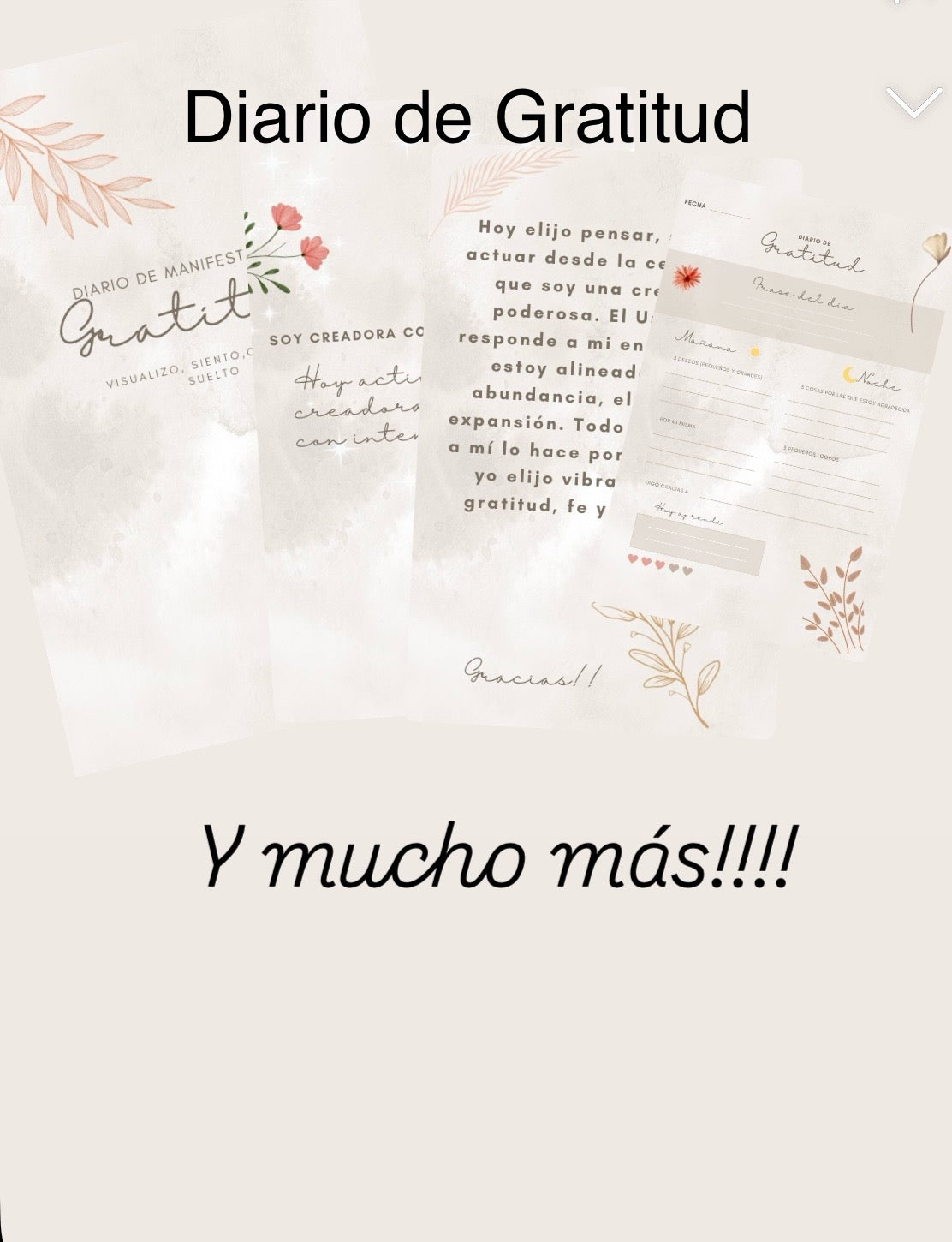 PLANIFICADOR DIARIO - Cómo Pasé del Caos Total a una Vida Organizada y Plena y de 🎁Regalo Diario de Gratitud